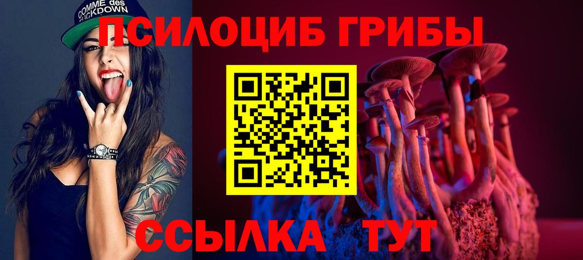 Узловая  Галлюциногенные грибы ЛСД  Галлюциногенные грибы прущие грибы  Вход с VPN 